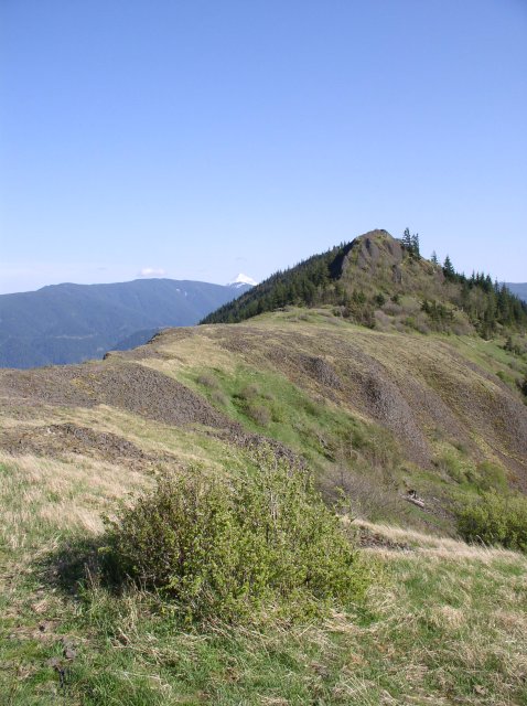 4.30.06 Hamilton Mountain 098 